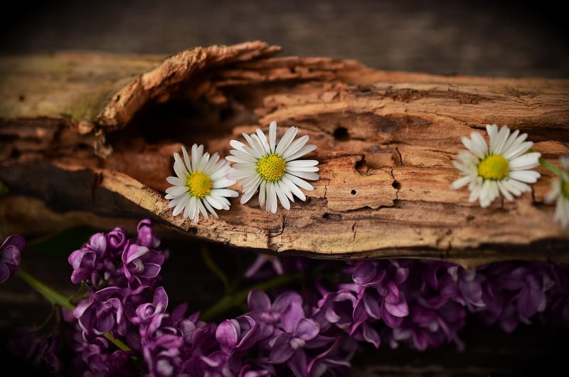 Bark Table Setting